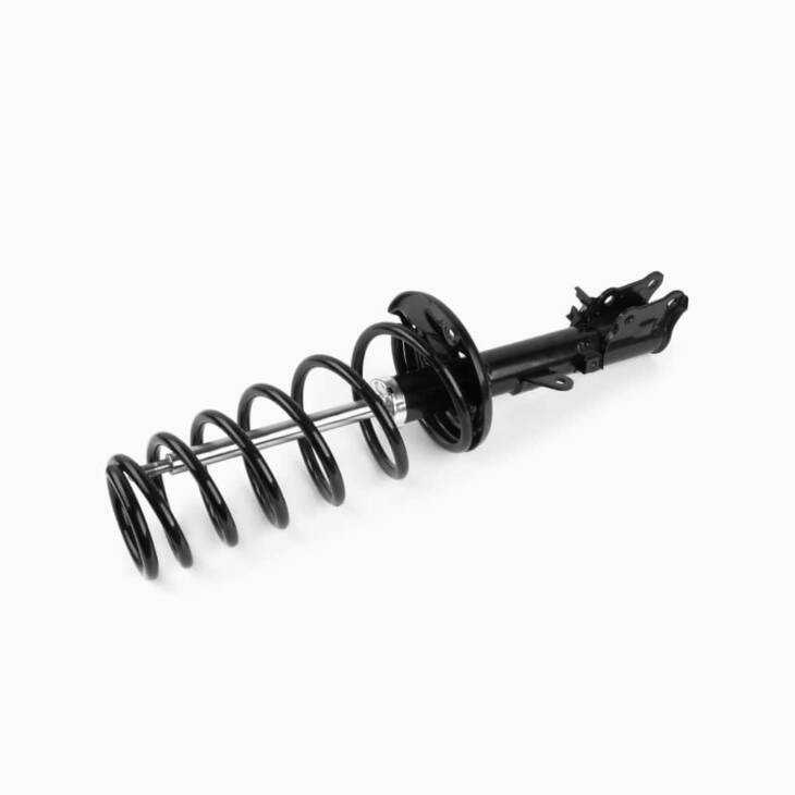 Suspension springs - Imagen 3